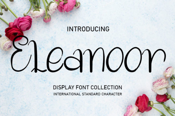 Eleanoor: A Friendly Font for Business Branding