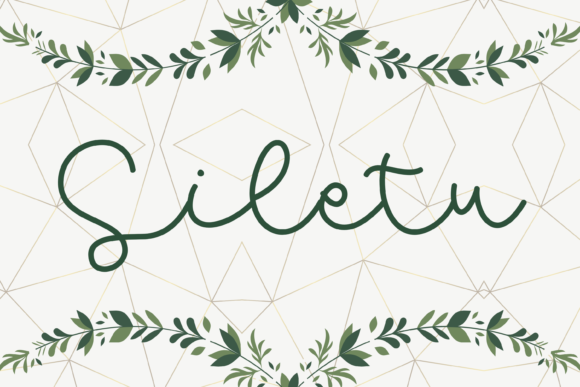 Siletu: A Whimsical Script Font for Business