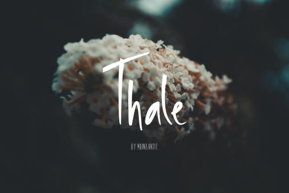 Thale: A Script Amp Review